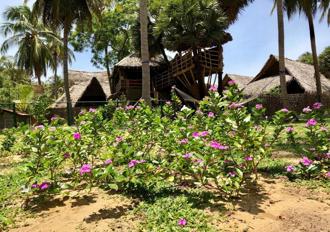 Wind Blend Kite Resort カルピティヤ エクステリア 写真